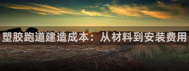 尊龙凯时下载人生就是博:塑胶跑道建造成本:从材料到安装费用